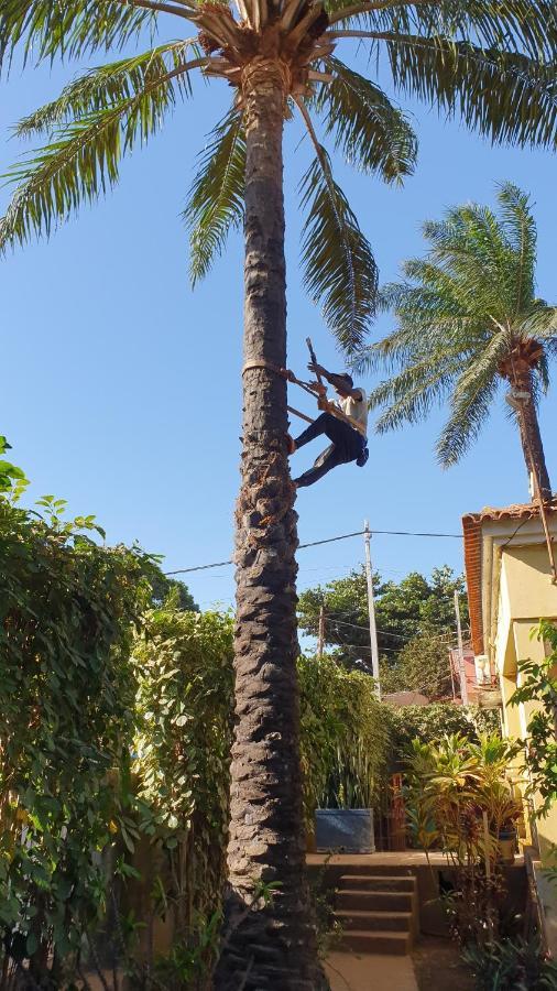 Apartmán Casa Cacheu II Bissau Exteriér fotografie